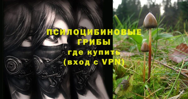 mix Лабытнанги