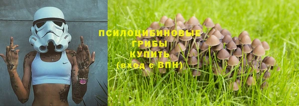 экстази Лагань